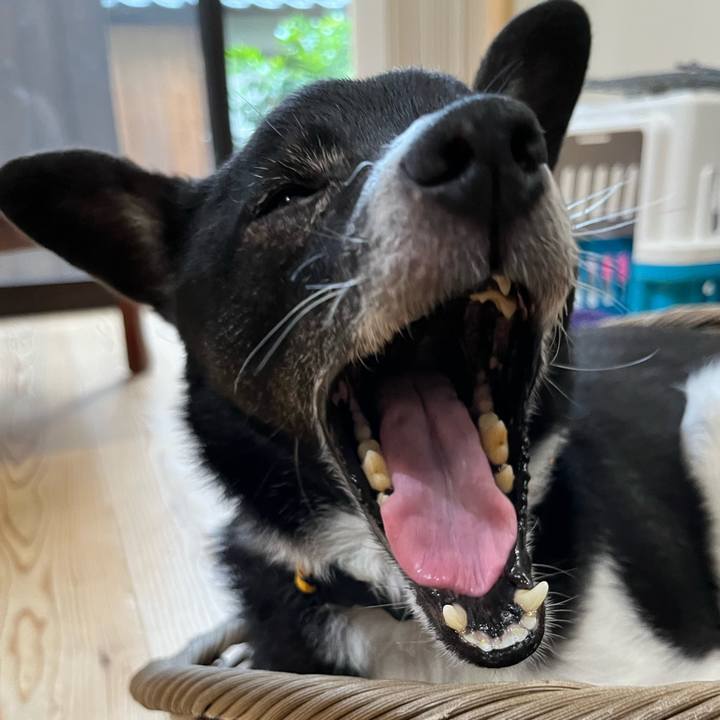 Ec4547ad 6055 4752 8688 c48e4ed09fc3 1654427318686