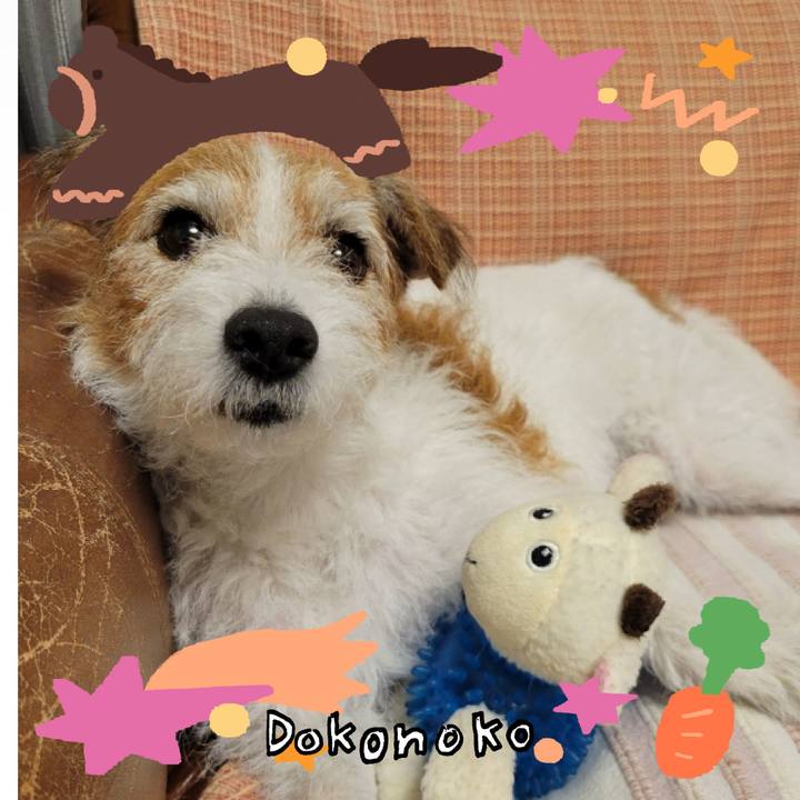 Ec457d5f f3c3 4aa6 90fd e49b40ceb834 1771833372595