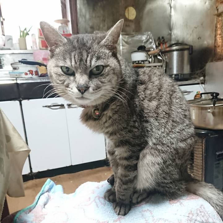 Ec4581bd fa3b 4a6b 8830 dc717ecd969d 1588882083820