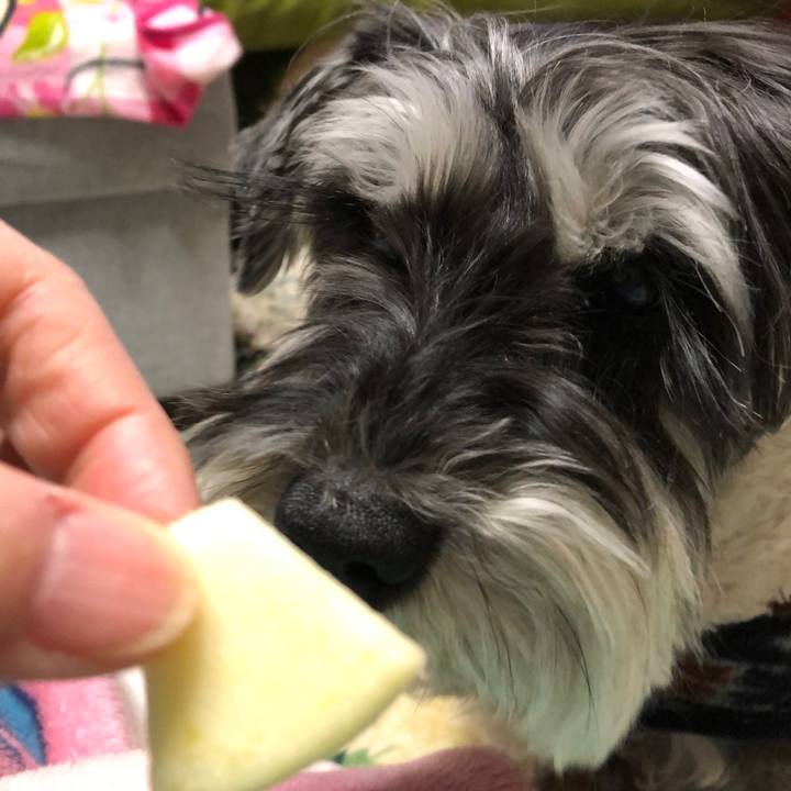 Ec45b34d de31 4d22 ae11 ee13cd22caec 1677331576679