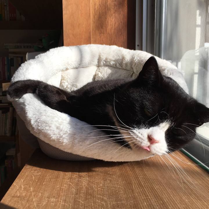 Ec46083c 4644 41ca b64d 0d3f414a2a60 1573000046034