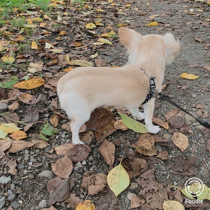 Ec460dad 11c8 47a0 b7d0 5ed272ebd3db 1600321665409