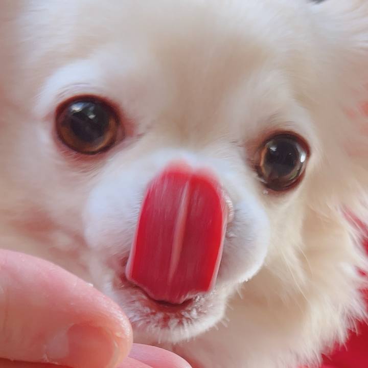 Ec462938 8b70 436b b0cd fd08de757c8e 1764255053919