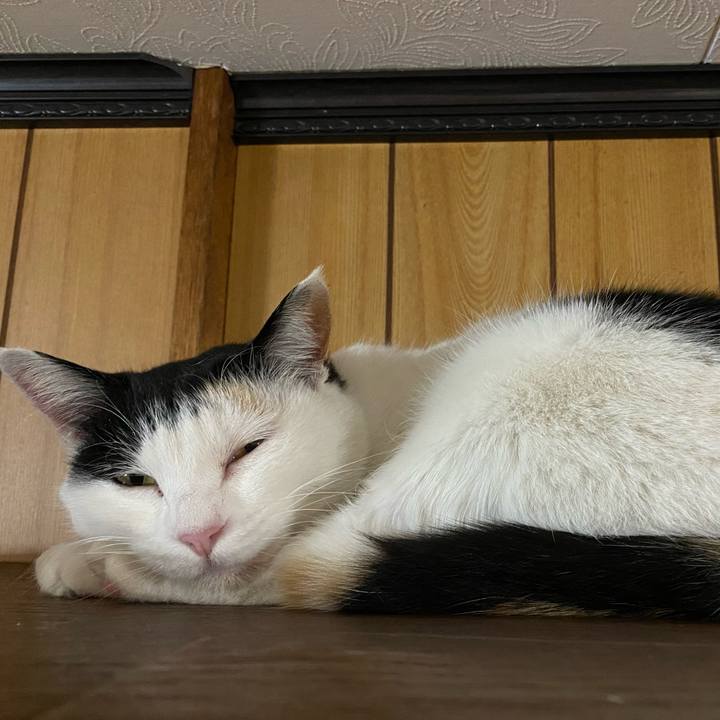 Ec4633d2 725f 4f98 ac71 8e65eac110ee 1643295833510