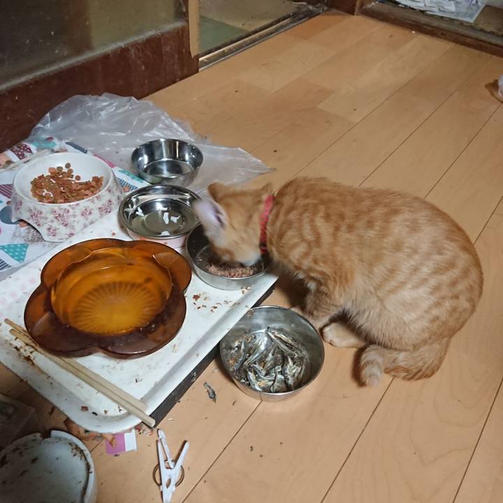 Ec467858 5b76 458b 9b82 ea1dacc233c3 1633773401958