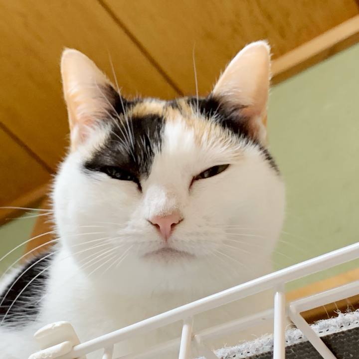 Ec4699b1 0846 4d4c 93d2 8da8b3addedf 1548727941367