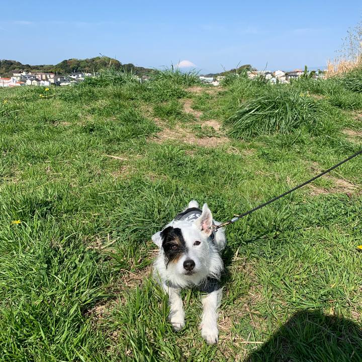 Ec46e9b3 9dea 4424 8b65 d91c0ef2a8c6 1680568000935