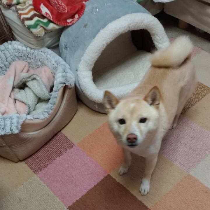 Ec4727c6 cf16 4b0c a739 5444d8d201ba 1579390756462