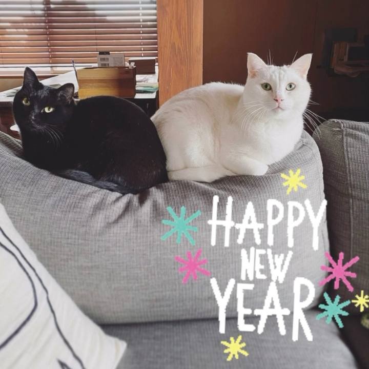 Ec472cdb 5728 427a 828a 3be8cad7ff4a 1609500484151