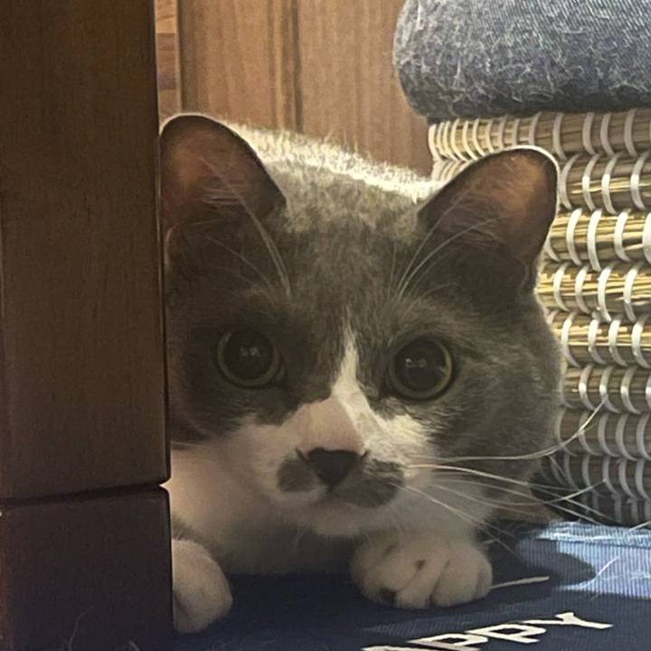 Ec472e10 8741 41e5 bf02 71c8f47bef7b 1695060311963