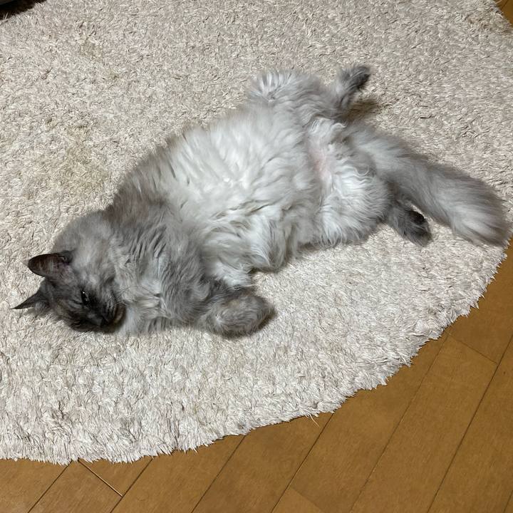 Ec4738ff cd57 4af3 badc b23404232cf7 1713743378790