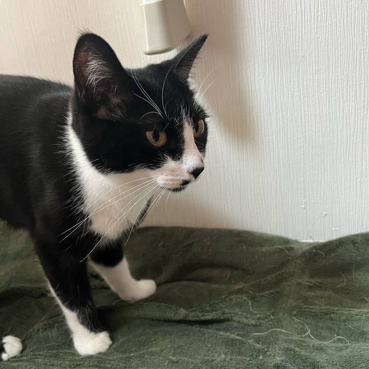 Ec473cb0 cac5 4e7a b499 46f9d2f701ca 1717653258945