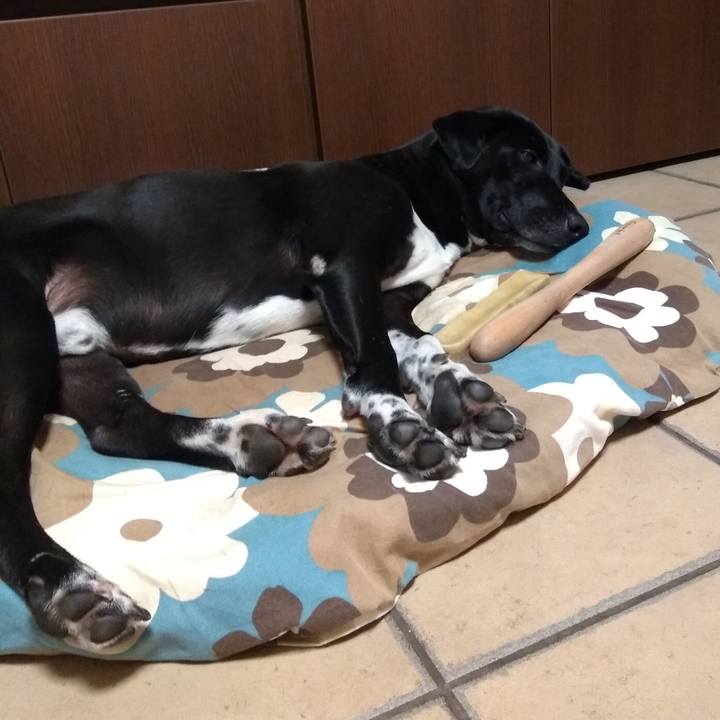 Ec47a245 14d6 4192 af2f 9e69fbdf3af7 1599475631834