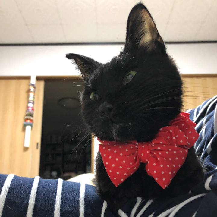 Ec47a967 4652 4782 b30a 619748d76c53 1561114582979