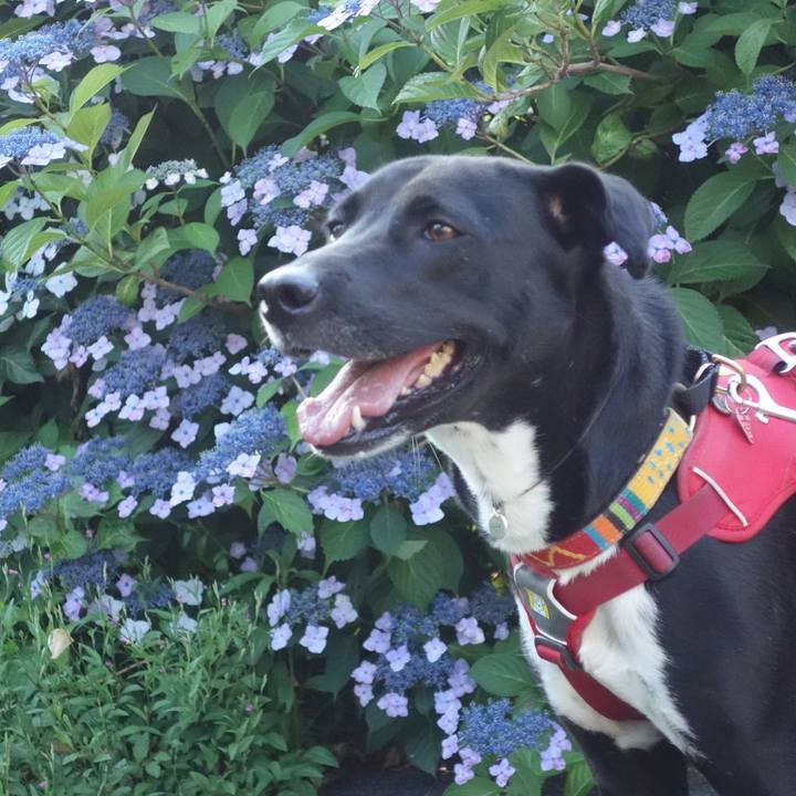 Ec47b6d7 4d3c 4e1f b241 c9427c45f32c 1591629557907