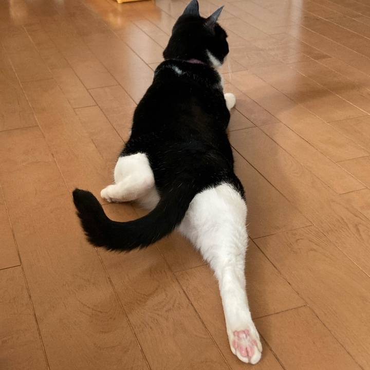 Ec47cfdc 4fe5 4b09 a480 e64f1f0e0f6d 1658898705966