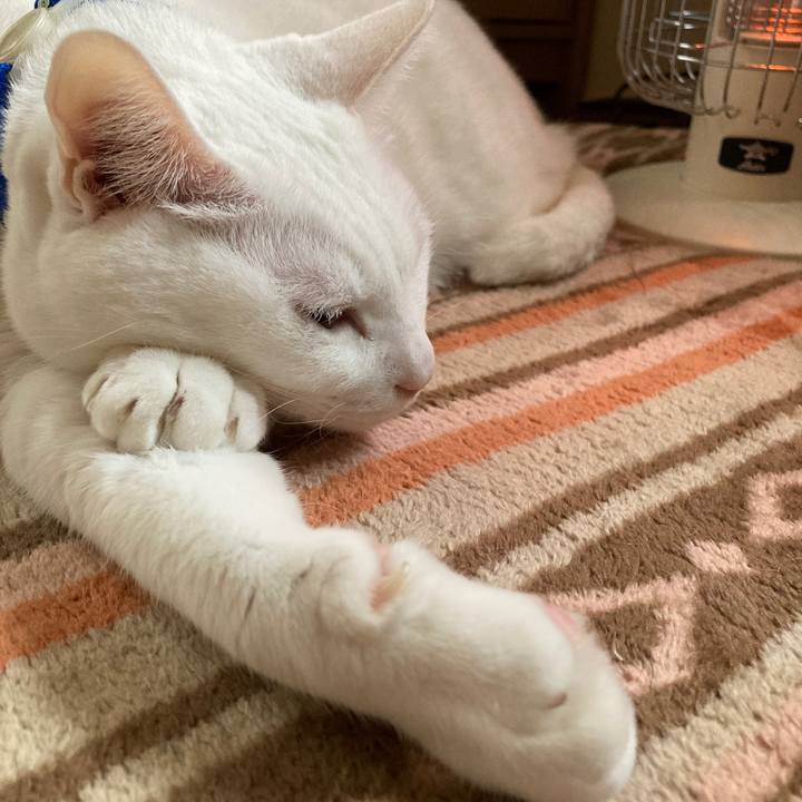 Ec47d803 9d47 41c6 818a 29b778d1bbfe 1673851363004