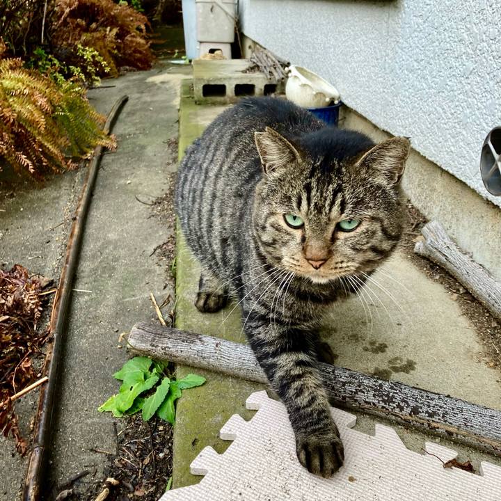 Ec47de2d 853a 4d23 a438 13aca8bafb79 1638603145100