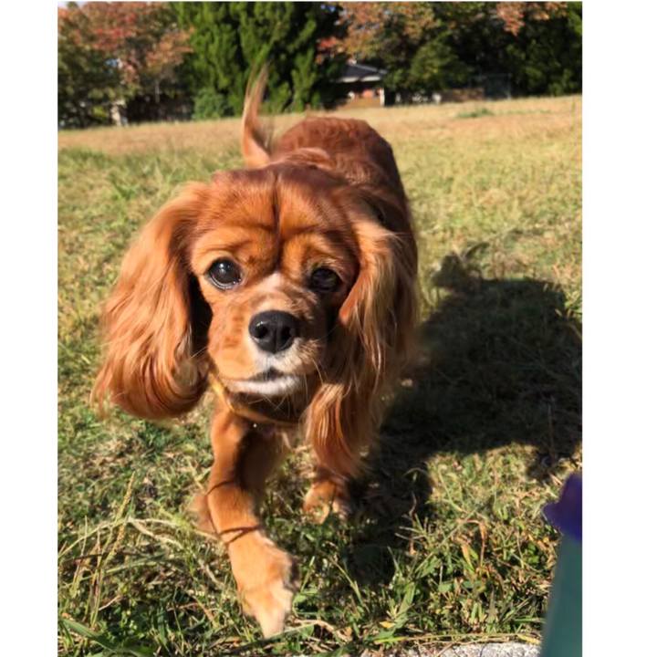 Ec47e248 16c6 434b a057 9f0026b11e85 1603499589857