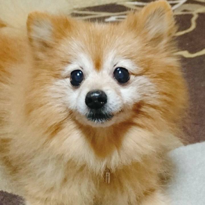 Ec47e3bc 33fe 4c66 a7ce aa45db329fab 1514286477774