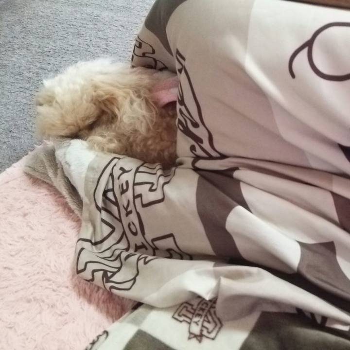 Ec482d8e 7aac 4053 8647 07a5bccd976a 1550707348362