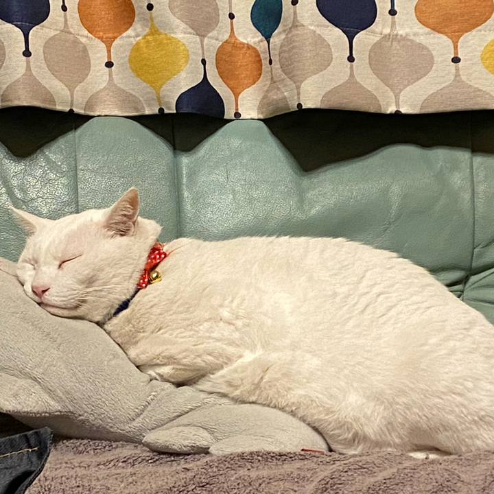 Ec484bb1 2271 407b b315 abd3b1ff5a49 1609941201288