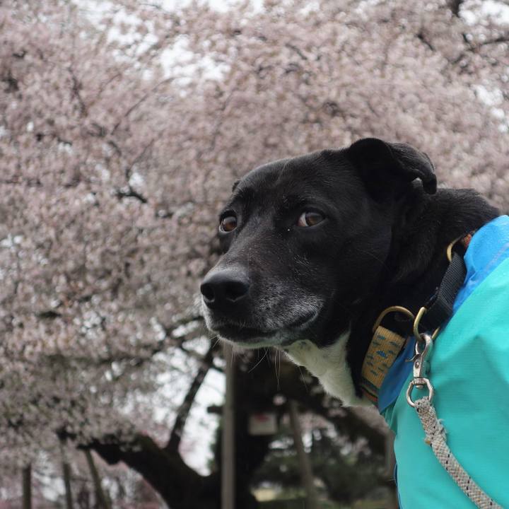 Ec486a38 7ea9 4205 8441 dc36f7b14a3b 1679965470800