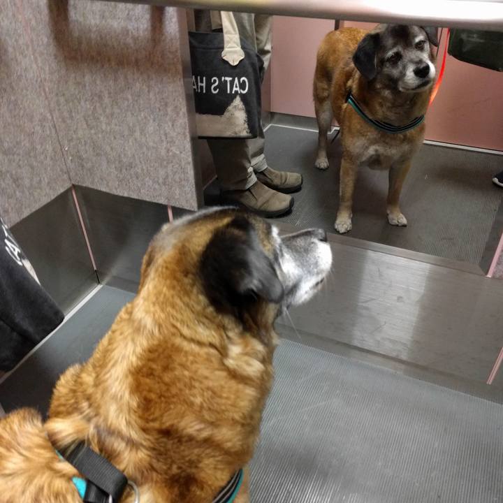 Ec487d41 67e0 447a a9e3 be004206c08c 1724369805466