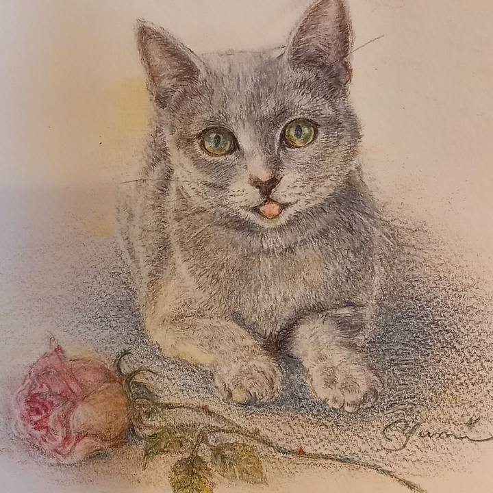 Ec489888 cf51 4878 a212 75ca85bf43a1 1625819497696