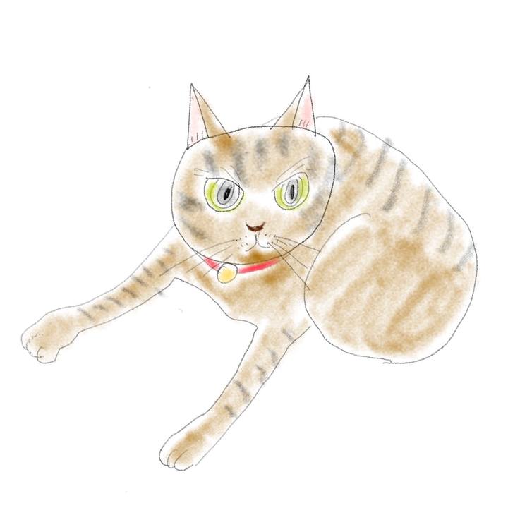 Ec48a411 0f35 436a b3a2 a9e8a2004548 1664363772210