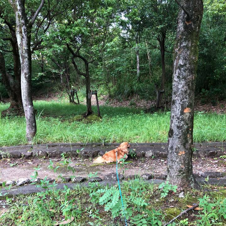 Ec48b757 5bcf 4670 896f 6ed66c14d374 1565996731052