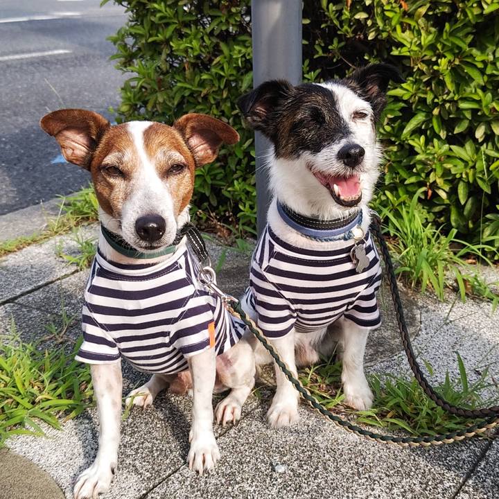 Ec48c3ba 2048 44a3 9205 1f12dd7a29aa 1751752785415