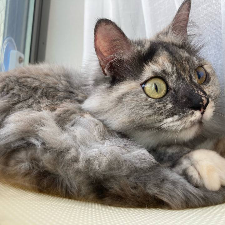 Ec48fcf0 9c04 4285 b191 d80b6ac2a78b 1743036462554