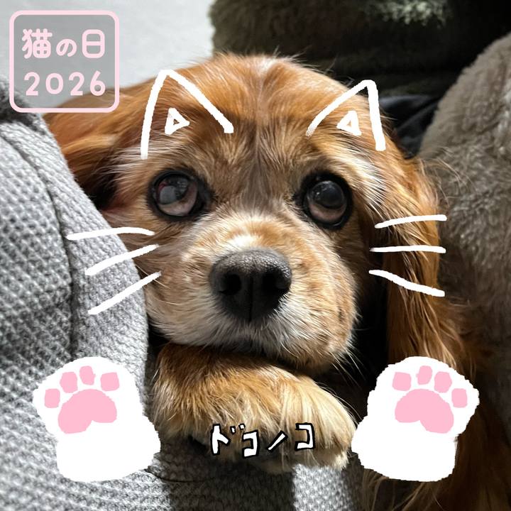 Ec491549 b57c 4671 9141 8f44e3142fe3 1771731550707