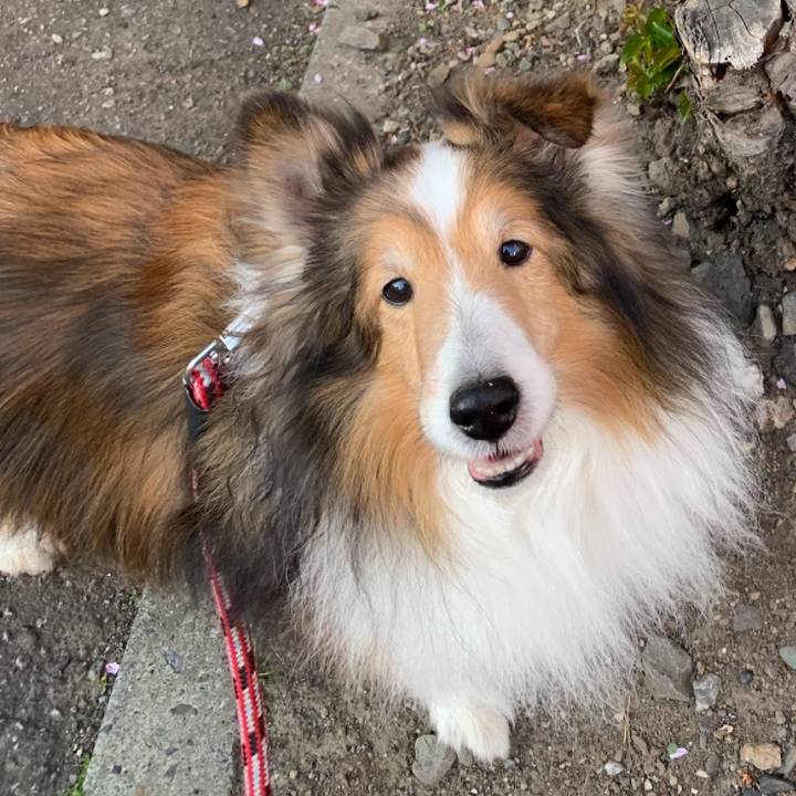 Ec4969b5 930e 4b21 8640 0be2da09d2ca 1747473043032