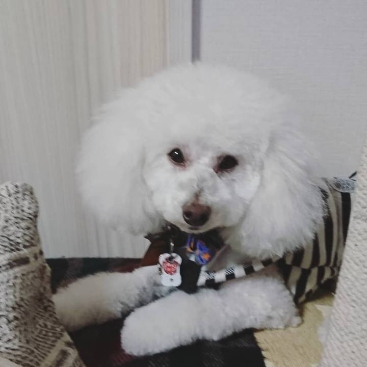 Ec498853 699c 45d7 9c48 511732164092 1521796647209