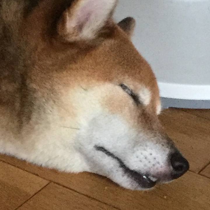 Ec49a981 79c0 4863 91a2 eadca5e2b38a 1568161312995