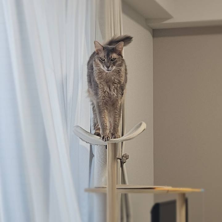 Ec49c22e 985c 4226 984c 7c2bb63743f4 1763531829764