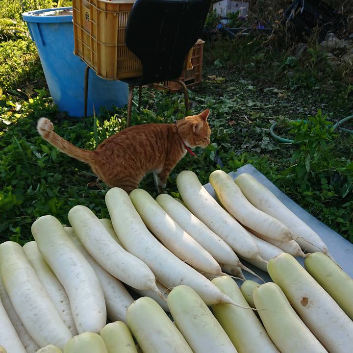 Ec49cf61 9145 4cca a532 092fb37583b5 1573366125157