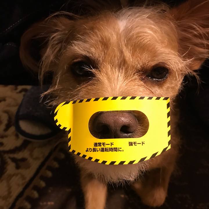 Ec49df56 cc0d 4d5e b18d 25fad39a3dfc 1606738926042