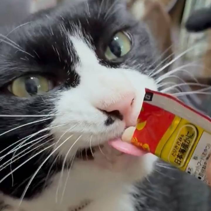 Ec49eba4 f65e 48c8 80bf 4db629629ed6 1759977681301