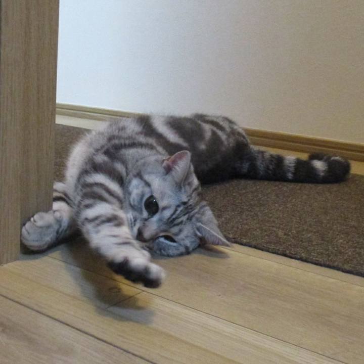 Ec4a08f4 58b7 4378 831d 1b280f6d053e 1560520258788