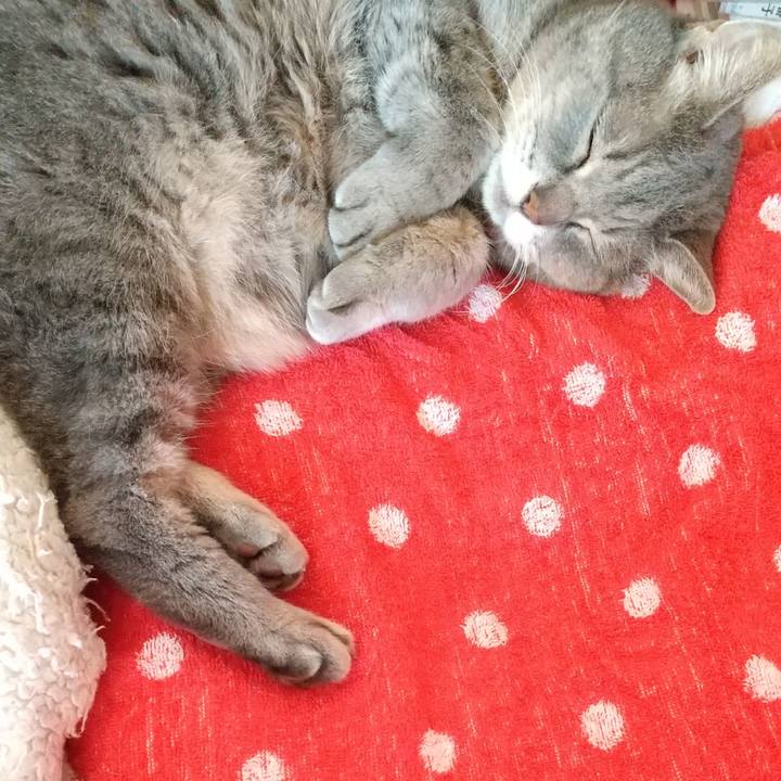 Ec4a0dab 7502 48a3 8a88 0285c72981cf 1636759211729