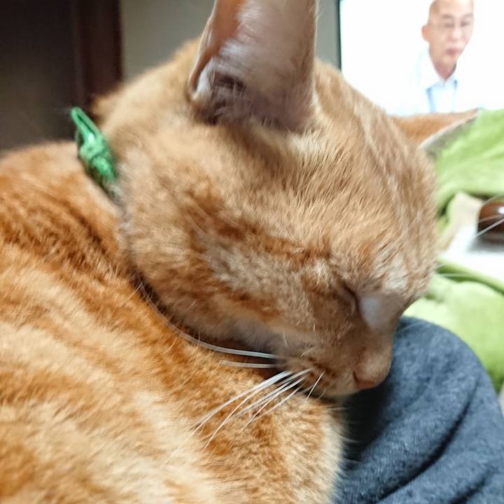 Ec4a32bd 2d1b 43ff 8978 36e07b8723d7 1584222392291