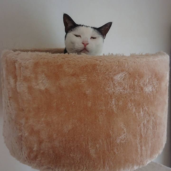 Ec4ab3d3 c1ea 4cca 9ee8 3bec85d9bfa6 1561812769122