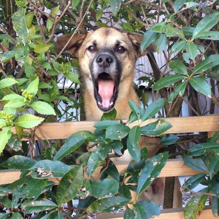 Ec4abbcf 254e 4ffb ae7d e2c064915dd6 1537615271899