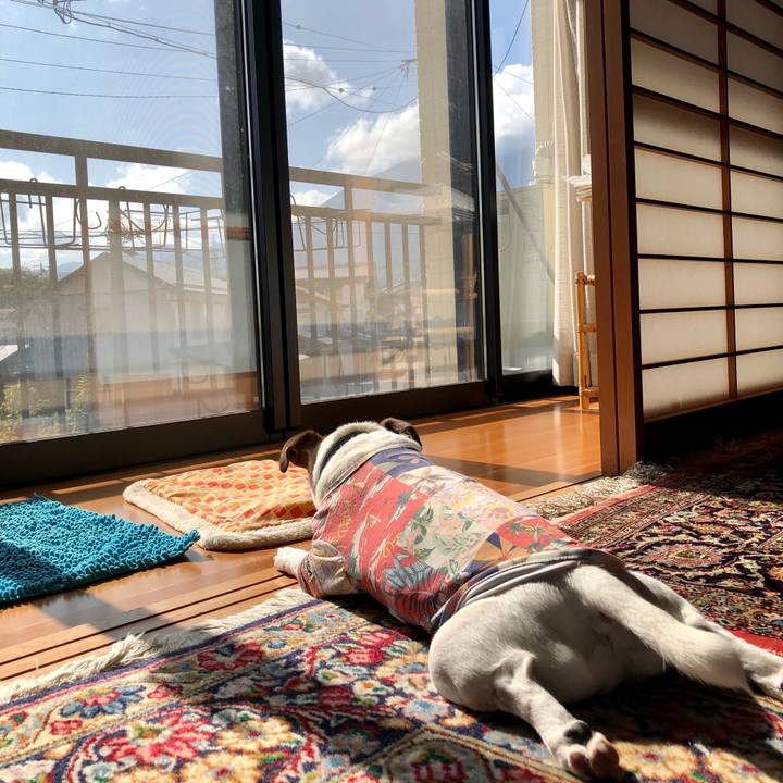 Ec4ac390 467a 429d aba2 d4391b992042 1601615332158