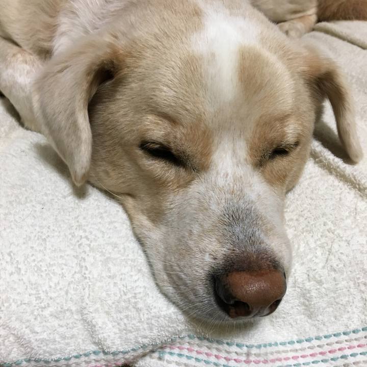 Ec4aca07 c50d 44d4 8d2a b3bf974fde94 1541247733806