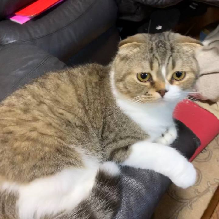 Ec4b1b51 0e46 4119 8506 2cb19c847e7b 1563288990529