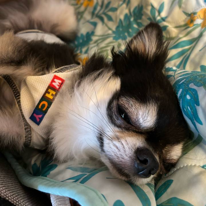 Ec4b37b5 348b 43cf 91e9 4977fe4cb464 1725811799389